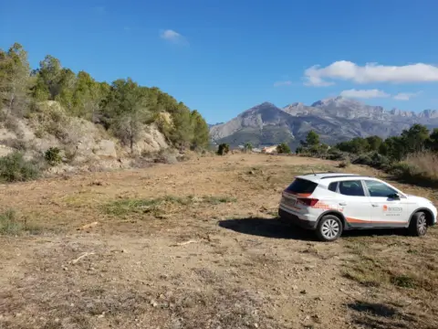 Finca rústica en Callosa d'en Sarrià