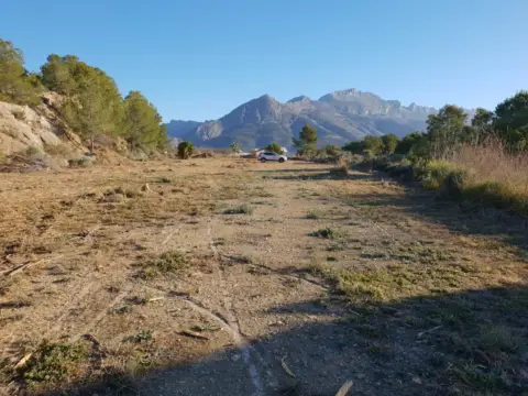 Finca rústica en Callosa d'en Sarrià
