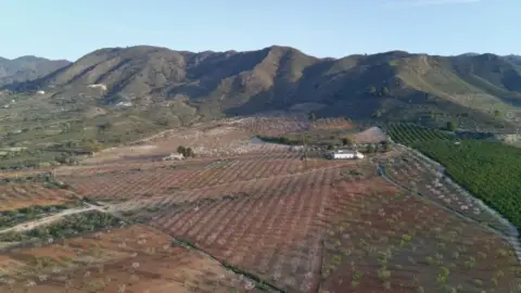 Finca rústica en La Hoya-Almendricos-Purias