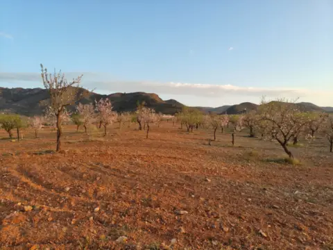 Finca rústica en La Hoya-Almendricos-Purias