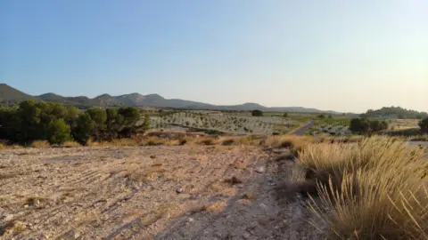 Finca rústica en Jumilla