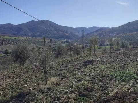 Terreno en Zona Cueva de Menga
