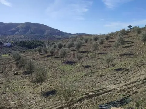 Terreno en Zona Cueva de Menga