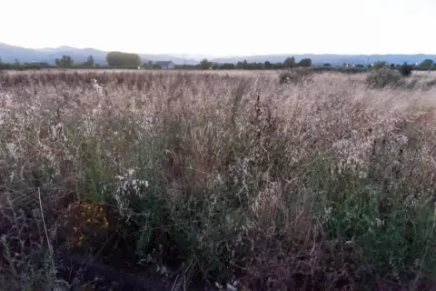 Finca rústica en Villadepalos