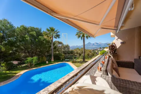 Pis – Altea