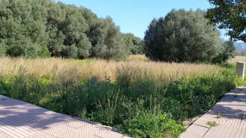 Terreno en El Verger