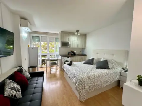 Estudio en Parque de la Paloma