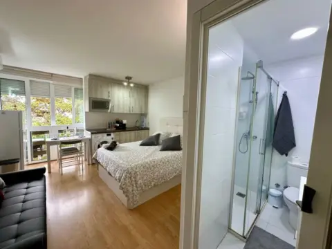 Estudio en Parque de la Paloma