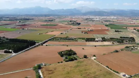 Finca rústica en Muro