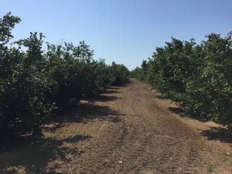 Finca rústica en Mestral