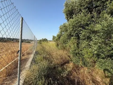 Finca rústica en Aljaraque