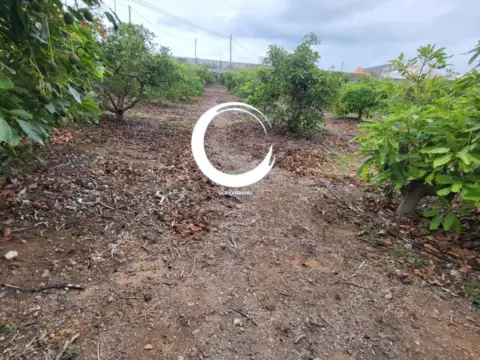 Finca rústica en Buenavista del Norte