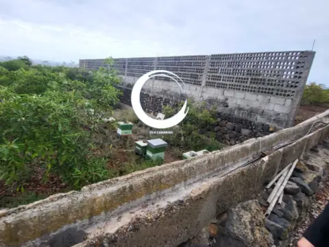 Finca rústica en Buenavista del Norte