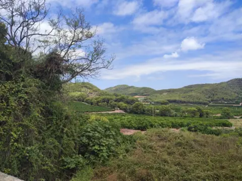 Finca rústica en Platja de Tavernes de la Valldigna