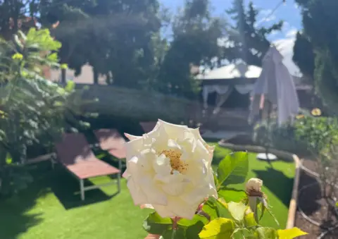 Chalet en calle Charcay, nº s/n