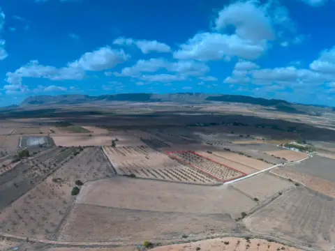 Finca rústica en Yecla