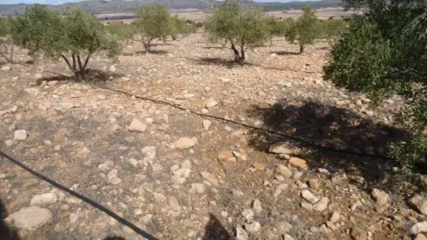 Finca rústica en Yecla