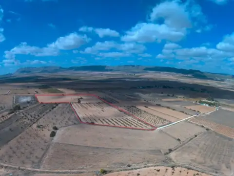 Finca rústica en Yecla