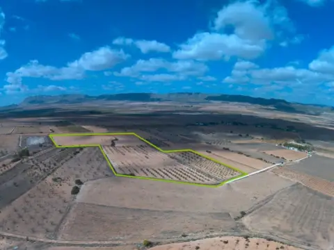 Finca rústica en Yecla