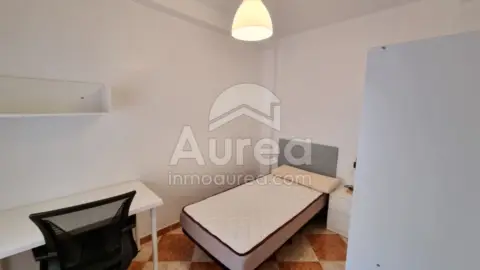 Pis – Sant Vicent del Raspeig / San Vicente del Raspeig, l'Alacantí