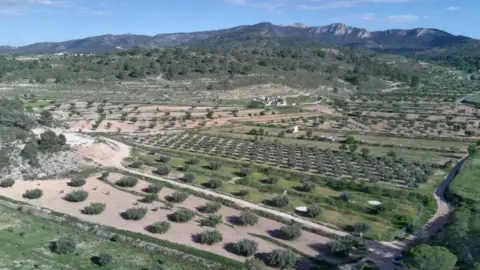 Finca rústica en Jumilla