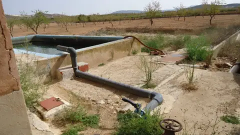 Finca rústica en Jumilla