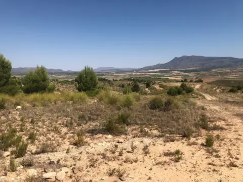 Finca rústica en Jumilla