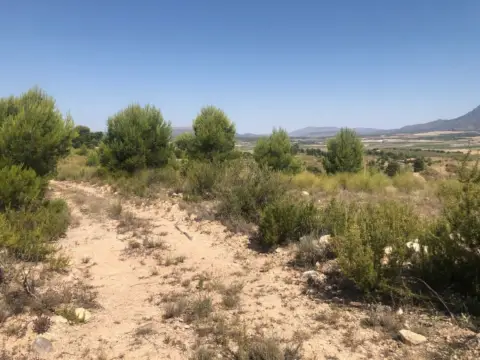 Finca rústica en Jumilla