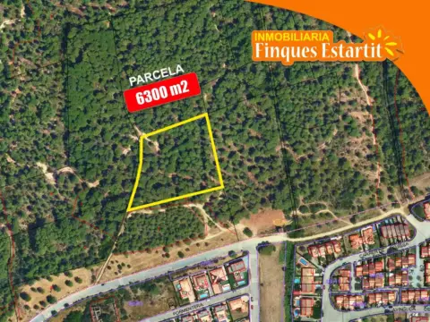 Finca rústica en Torroella de Montgrí Poble y Áreas Rurales