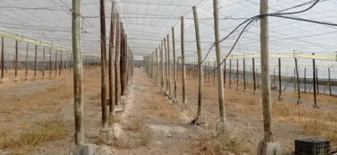 Finca rústica en Salobreña