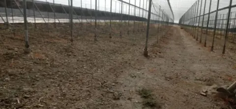 Finca rústica en Salobreña