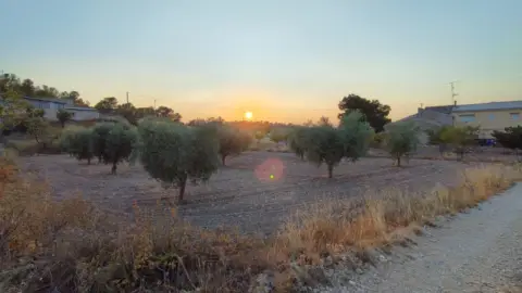 Finca rústica en Abanilla