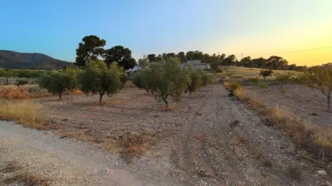 Finca rústica en Abanilla