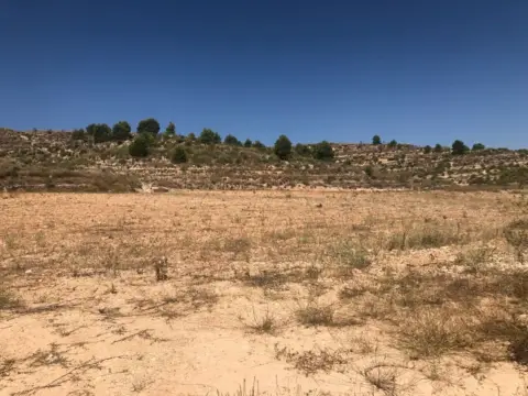 Finca rústica en Jumilla