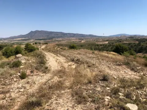 Finca rústica en Jumilla