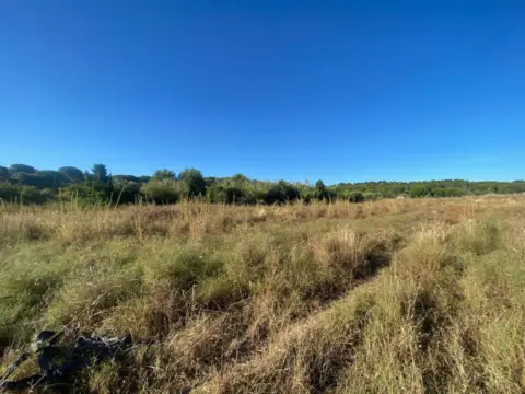 Finca rústica en Aljaraque