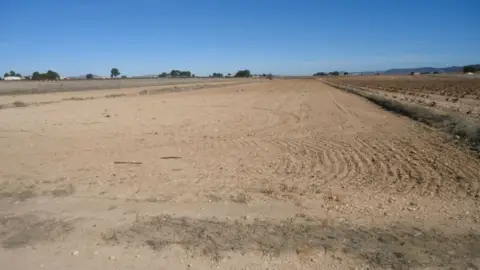 Finca rústica en Yecla