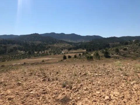 Finca rústica en Jumilla