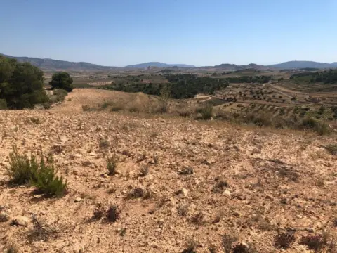 Finca rústica en Jumilla