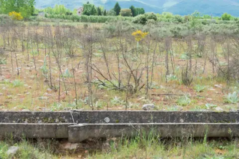 Finca rústica en Flores del Sil-La Martina