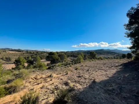 Finca rústica en Jumilla