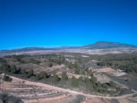 Finca rústica en Jumilla