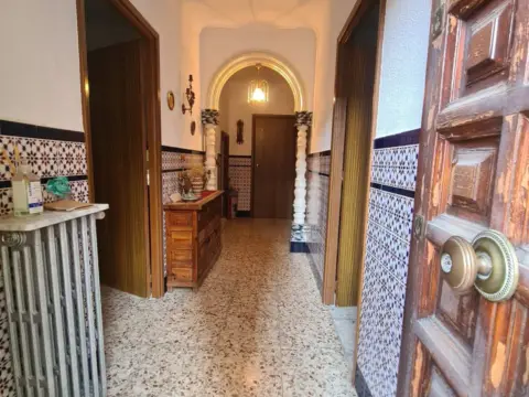 Chalet en Argamasilla de Calatrava