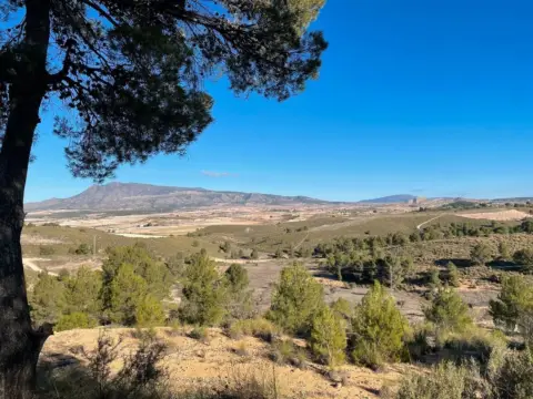 Finca rústica en Jumilla