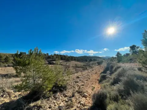 Finca rústica en Jumilla