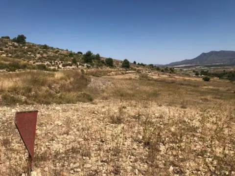 Finca rústica en Jumilla
