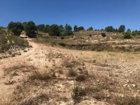 Finca rústica en Jumilla