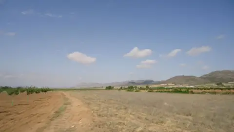 Finca rústica en Yecla