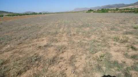 Finca rústica en Yecla