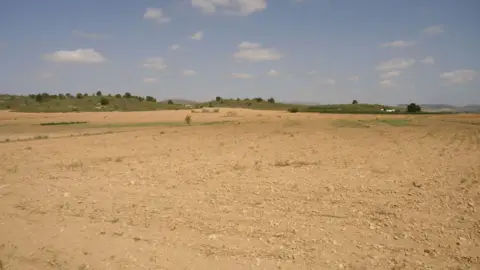 Finca rústica en Yecla